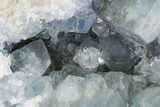 Celestine (Celestite) Geode ( Lbs) - Large Crystals! #106691-2